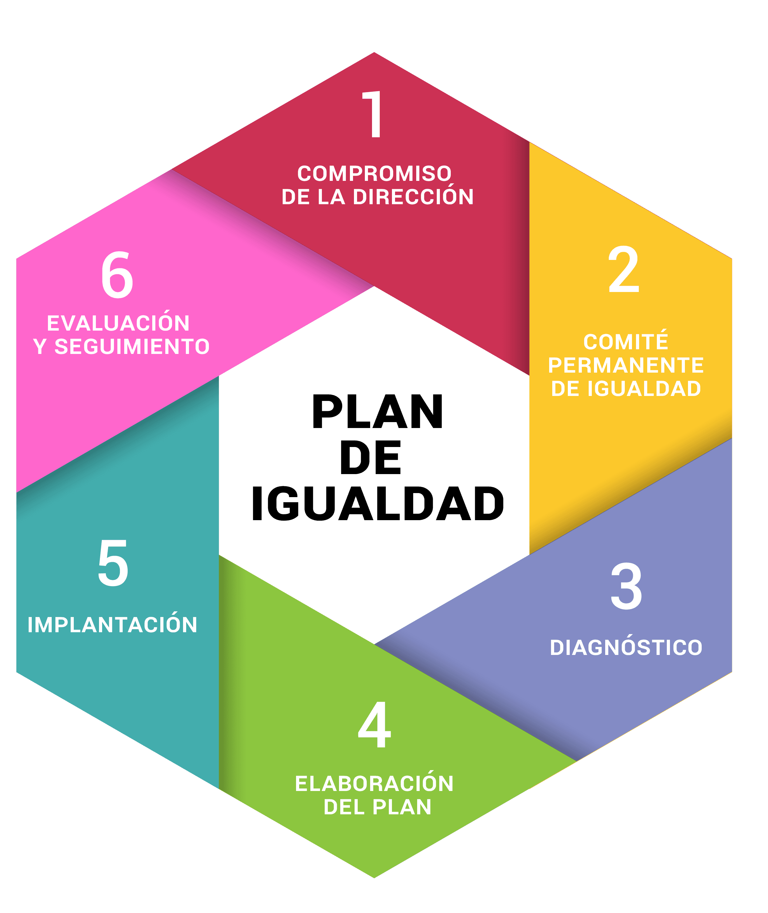 Gráfico Plan de igualdad